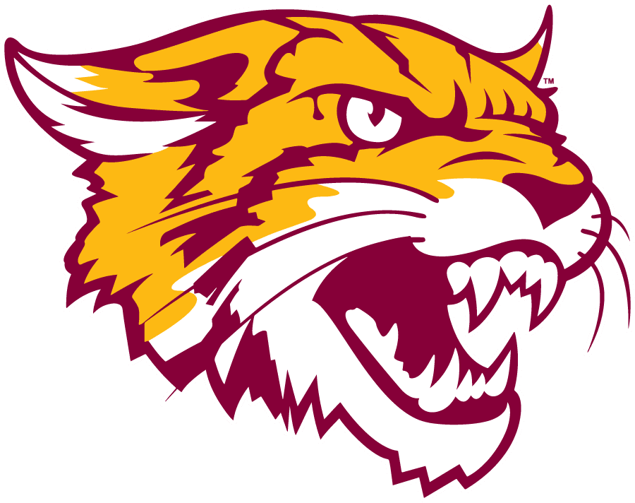 Bethune-Cookman Wildcats