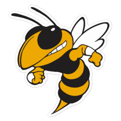 Georgia Tech Yellow Jackets
