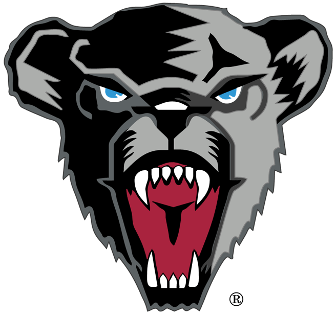 Maine Black Bears
