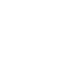 Memphis Grizzlies