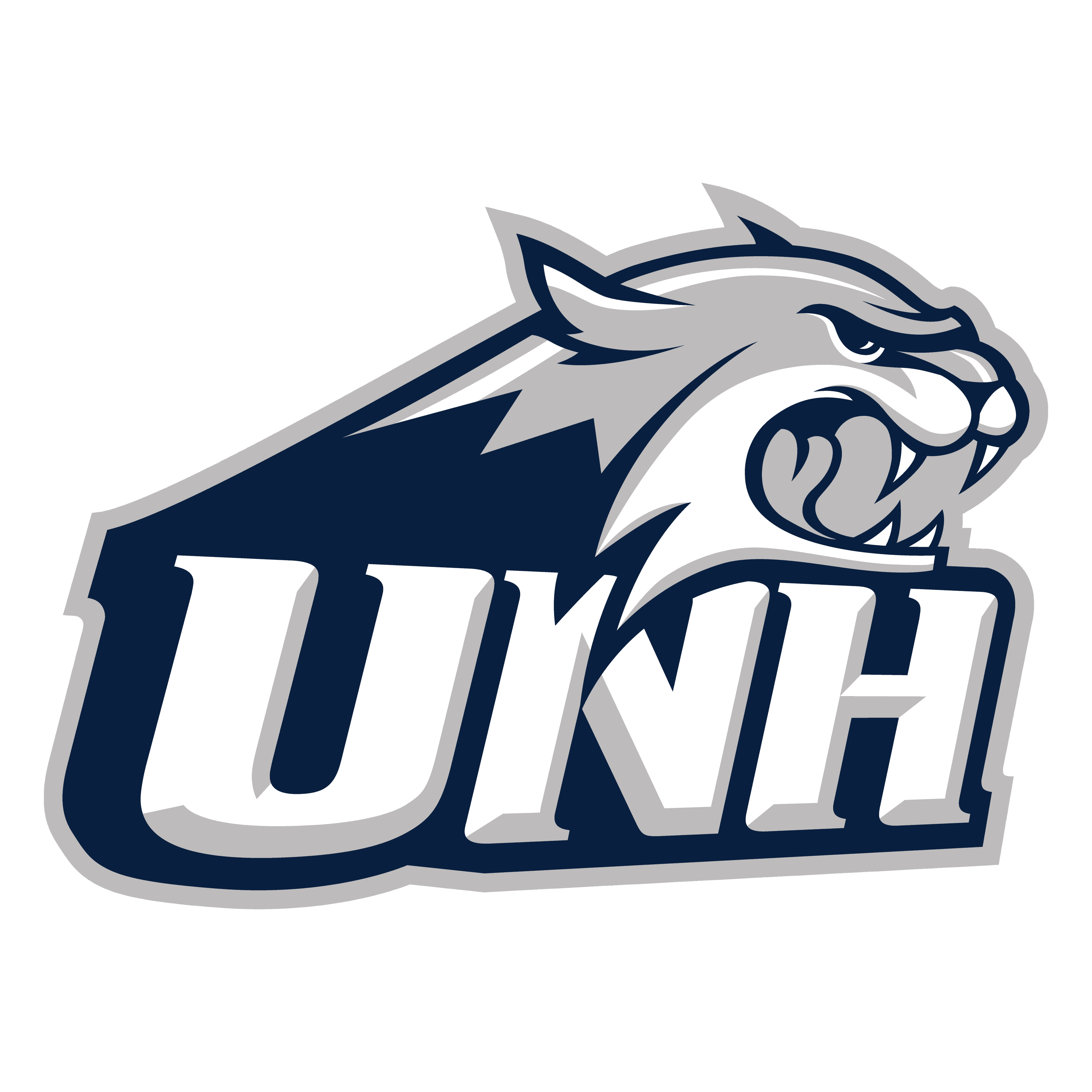 New Hampshire Wildcats