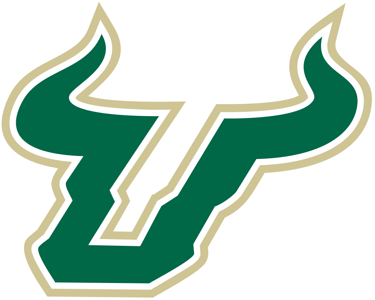South Florida Bulls