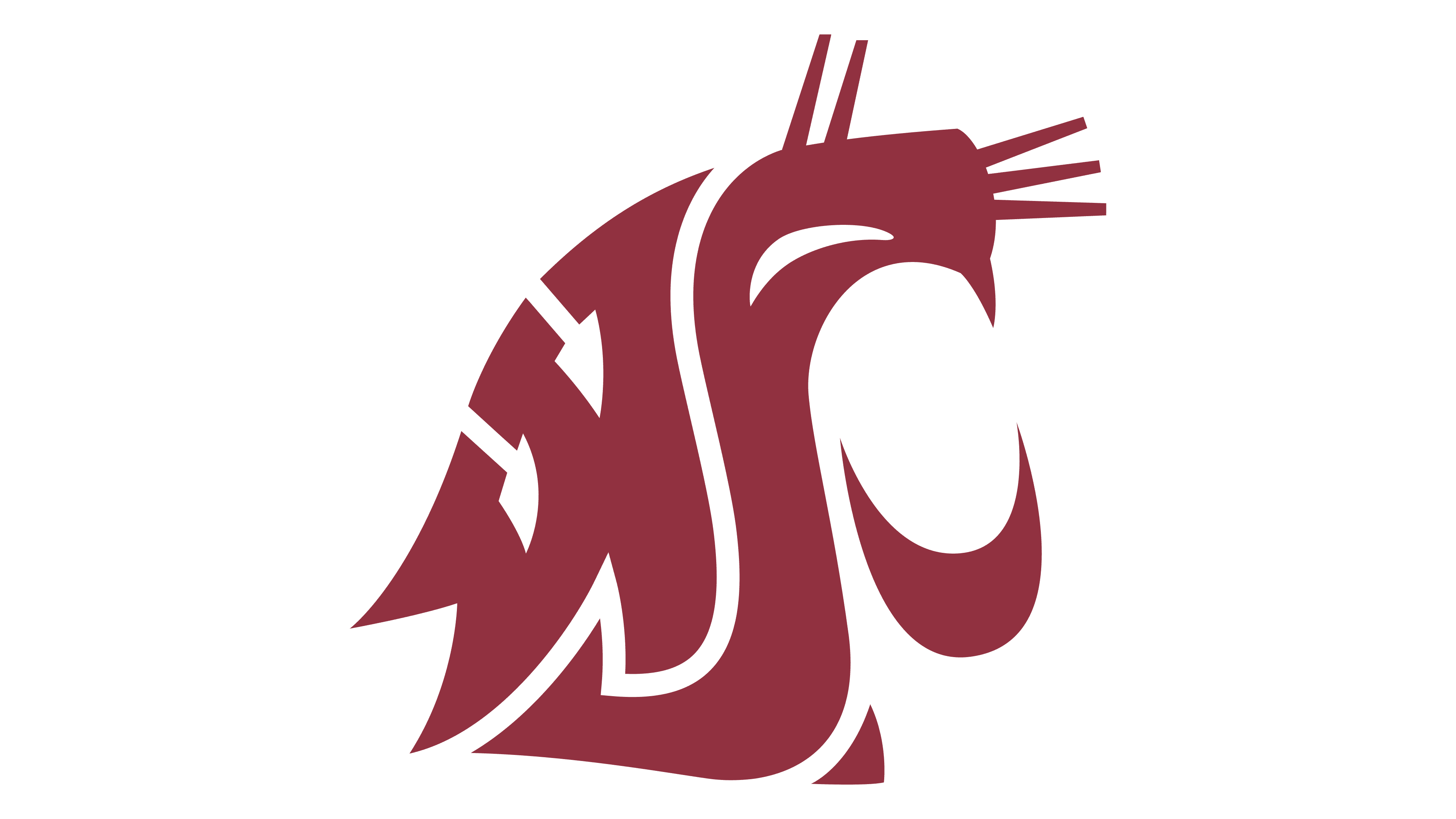 Washington State Cougars