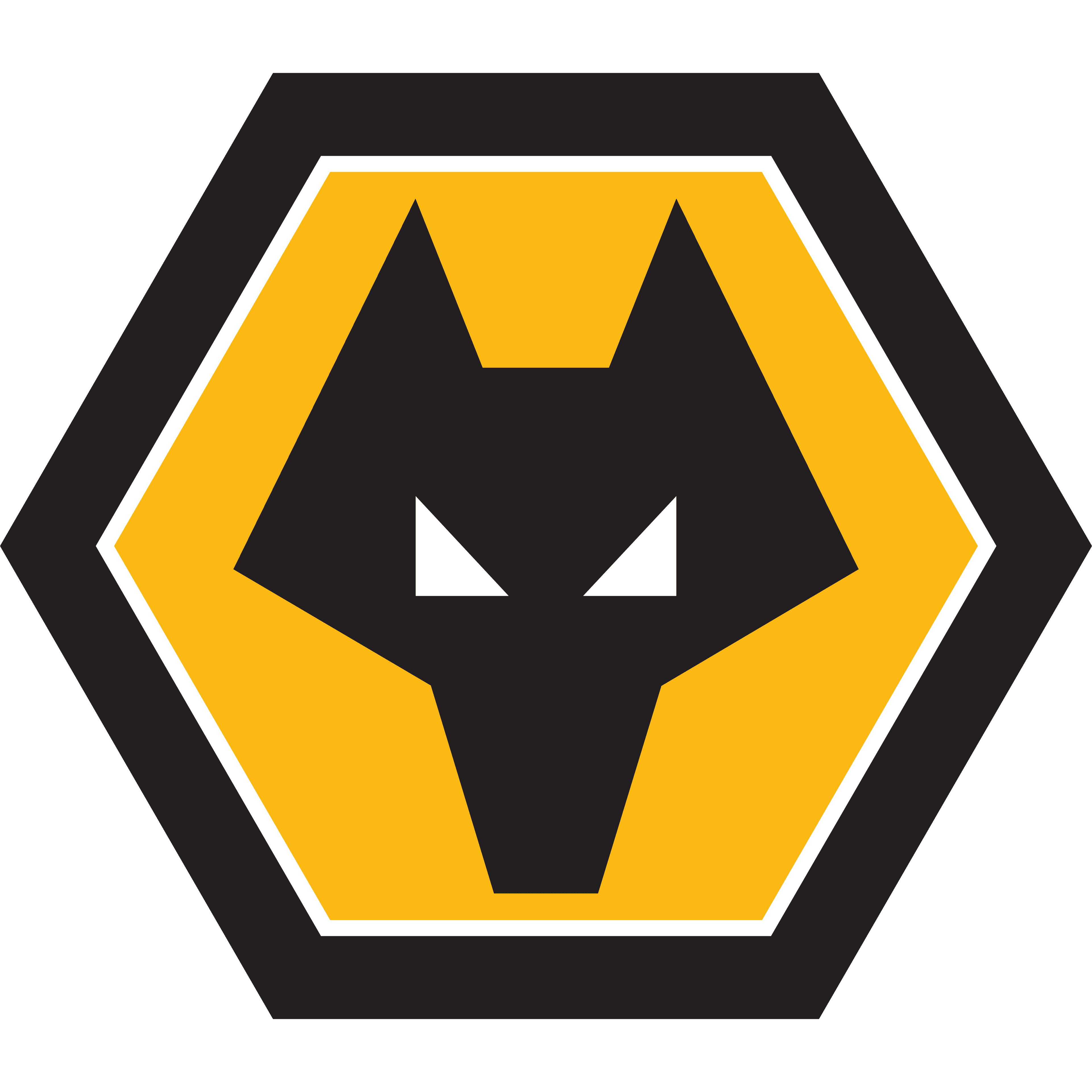 Wolverhampton Wanderers