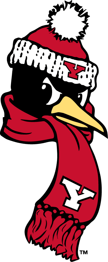 Youngstown St Penguins